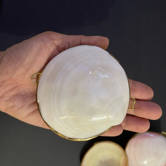 Seashell Mini Container 🐚 - Picture 4 of 6